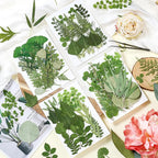86Pcs Dried Pressed Flowers Leaves - Image 2