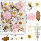 13 Types 37pcs White Dried Pressed Flowers - Image 2