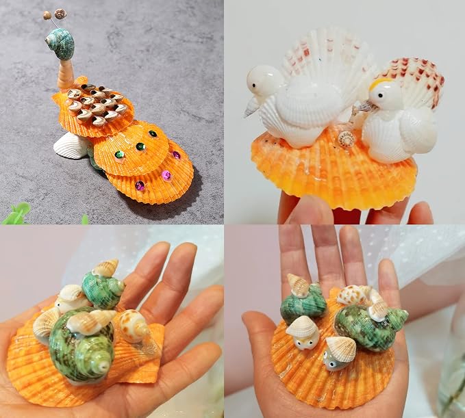 Yellow Sea Shells 50+ Pcs Scallop Shells - Image 4