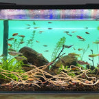 Hamiledyi Natural Driftwood for Aquarium Decor - Image 3