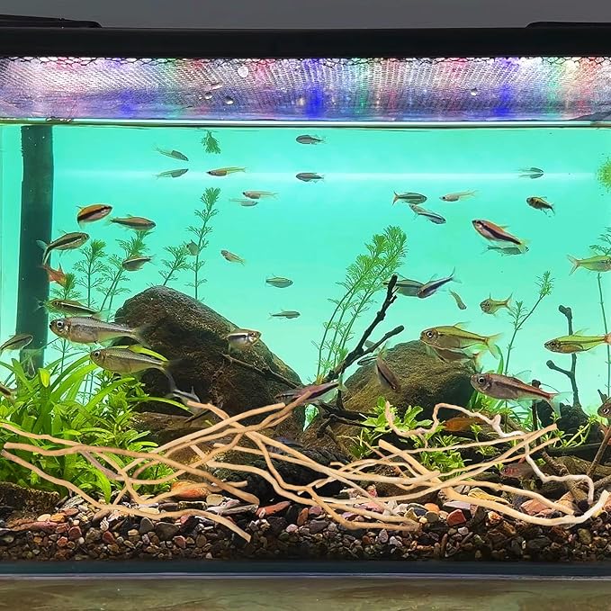 Hamiledyi Natural Driftwood for Aquarium Decor - Image 3