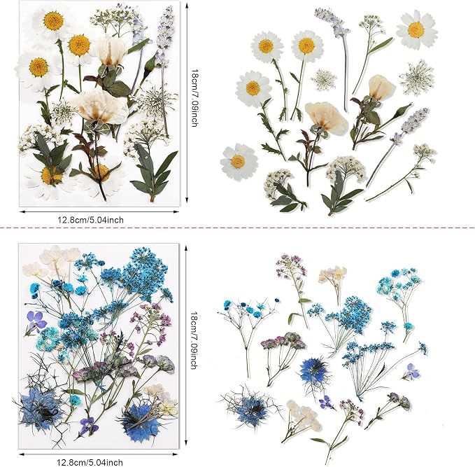 Nuanchu Dried Pressed Flowers for Crafts Resin Real Flat Natural Pressed Flowers - Image 4