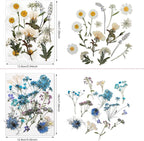 Nuanchu Dried Pressed Flowers for Crafts Resin Real Flat Natural Pressed Flowers - Image 4