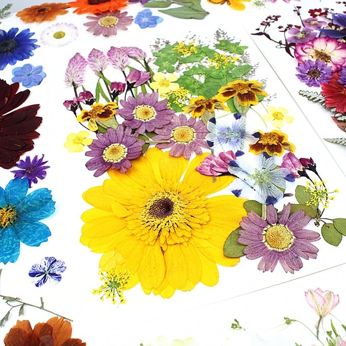 35Pcs Dried Pressed Flowers for Crafts Resin DIY Art Natural Dry Floral Large - Image 2