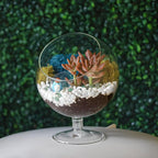 Creations by Nathalie DIY 6" Chalice Terrarium Kit Build Your Own Glass - Image 7