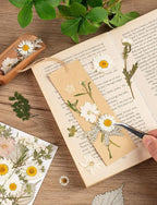 100pcs White and Light Yellow Dried Pressed Flowers Bulk, Natural Fall Pressed - Image 6