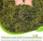 Riare 14OZ Natural Moss Artificial Fake Moss Alternative - Image 4