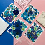 MIKIYA 94Pcs Blue Dried Pressed Flowers - Image 3