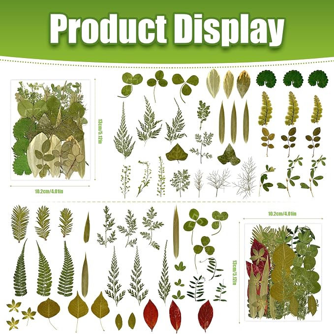 140+ Pcs Dried Flowers Leaves for Crafts, Dried Pressed Flowers for Resin Molds - Image 3