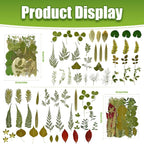140+ Pcs Dried Flowers Leaves for Crafts, Dried Pressed Flowers for Resin Molds - Image 3
