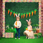 69 Feet Bulletin Board Borders，Colorful Egg Border and Bulletin Board Border - Image 6