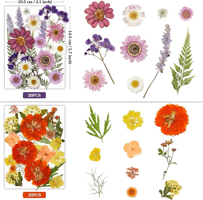 85Pcs Pressed Flowers for Crafts, Colorful Dried Flowers for Crafts Real - Image 3