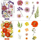 85Pcs Pressed Flowers for Crafts, Colorful Dried Flowers for Crafts Real - Image 3