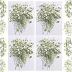 Dried Babys Breath White, Natural Pressed Flowers by CONVELIFE
