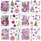 NESCCI 412 Pcs Purple Pink Dried Flowers - Image 2