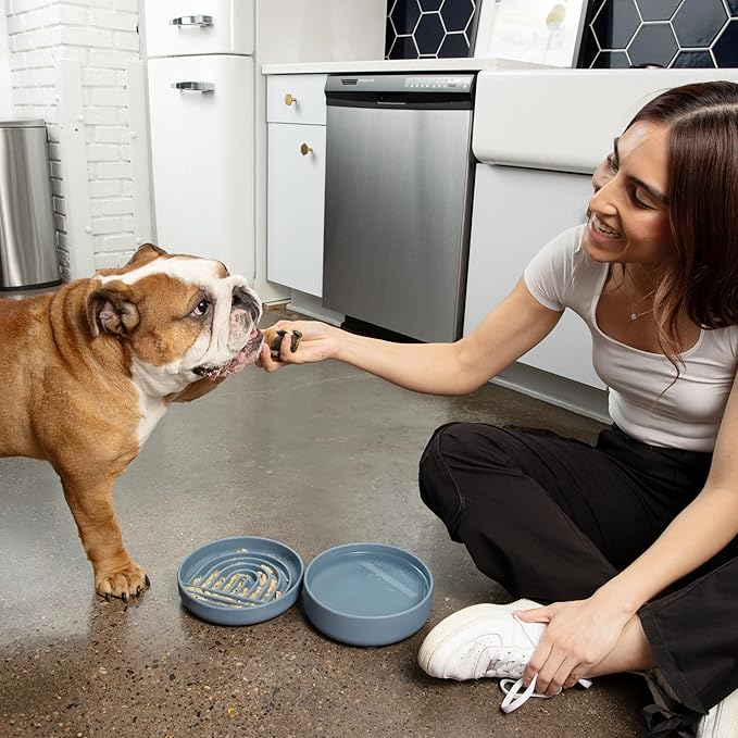 Should We Go? Slow Feeder for Dogs & Puppies, The Slowdown Bowl Silicone Slow Eating, Modern Lick Mat Design, Reduces Gulping, Fits 2 Cups, 7.5” Across x 1.5” Tall, Mealtime Challenge, Medium-Blush