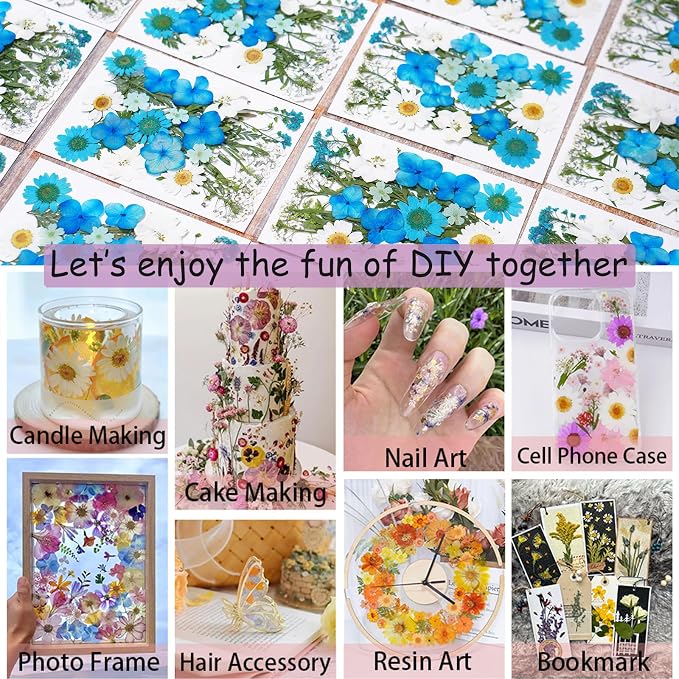 146Pcs Dried Pressed Flowers for Crafts, Xinxinran Dry Flowers Kit for Resin - Image 5
