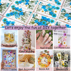 141Pcs Dried Pressed Flowers for Crafts, Xinxinran Dry Flower Kit for Resin - Image 5