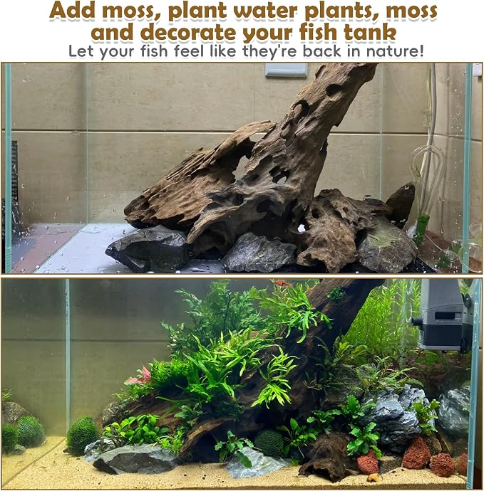 PINVNBY Natural Driftwood for Aquarium Large Reptile Terrarium Decor - Image 6