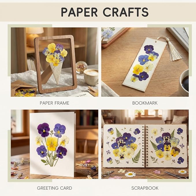 LUXEEASE 8 Color 64P Pansy Dried Pressed Flowers | Iconic face markings - Image 4