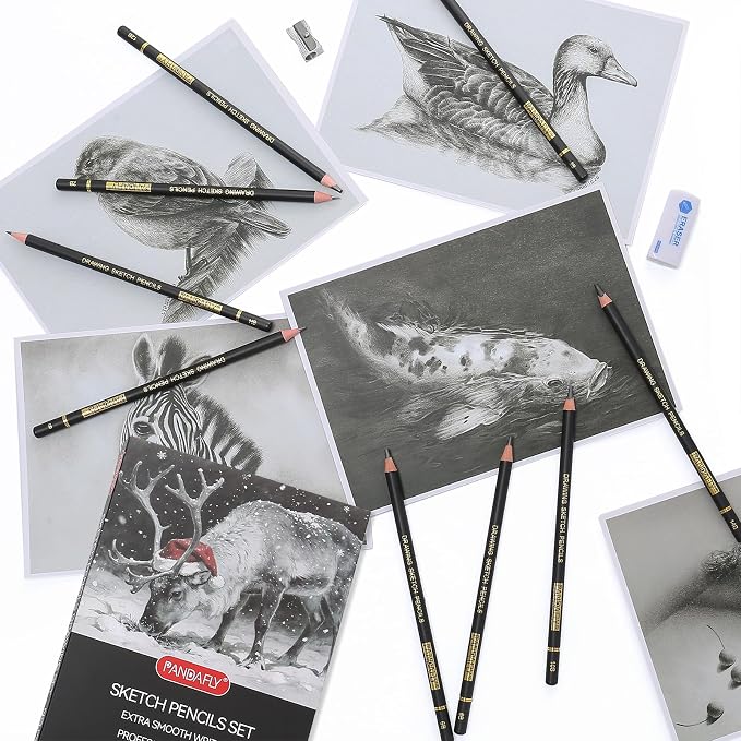 PANDAFLY Drawing Sketch Pencil Set, 16 Piece, 4H to 14B Graphite Pencils | - Image 8