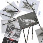 PANDAFLY Drawing Sketch Pencil Set, 16 Piece, 4H to 14B Graphite Pencils | - Image 8