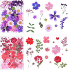 146Pcs Dried Pressed Flowers for Crafts, Xinxinran Dry Flowers Kit for Resin - Image 3