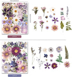 80PCS Pressed Dried Flowers & Leaves, Natural Color | Real Pressed Flowers - Image 2