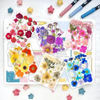 221PCS Real Nature Dried Pressed Flowers - Image 2