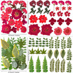 269PCS Dried Pressed Flowers for Resin Craft - Image 6