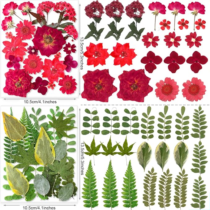 269PCS Dried Pressed Flowers for Resin Craft - Image 6