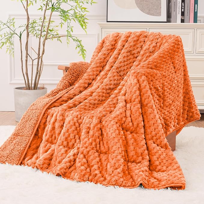Super Fuzzy Soft Fleece Sherpa Weighted Blanket 20 lbs by EazfyPro