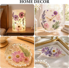 NESCCI 412 Pcs Purple Pink Dried Flowers - Image 6