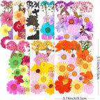 190Pcs Dried Pressed Flowers for Crafts, Xinxinran Dry Flower Kit for Resin - Image 2