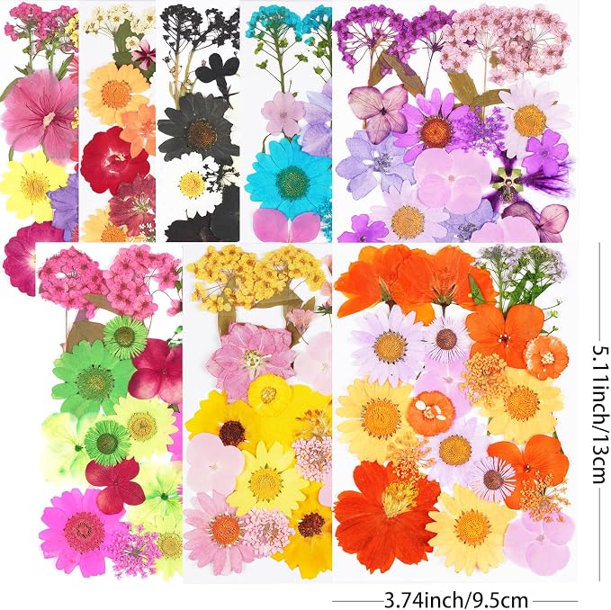 190Pcs Dried Pressed Flowers for Crafts, Xinxinran Dry Flower Kit for Resin - Image 2