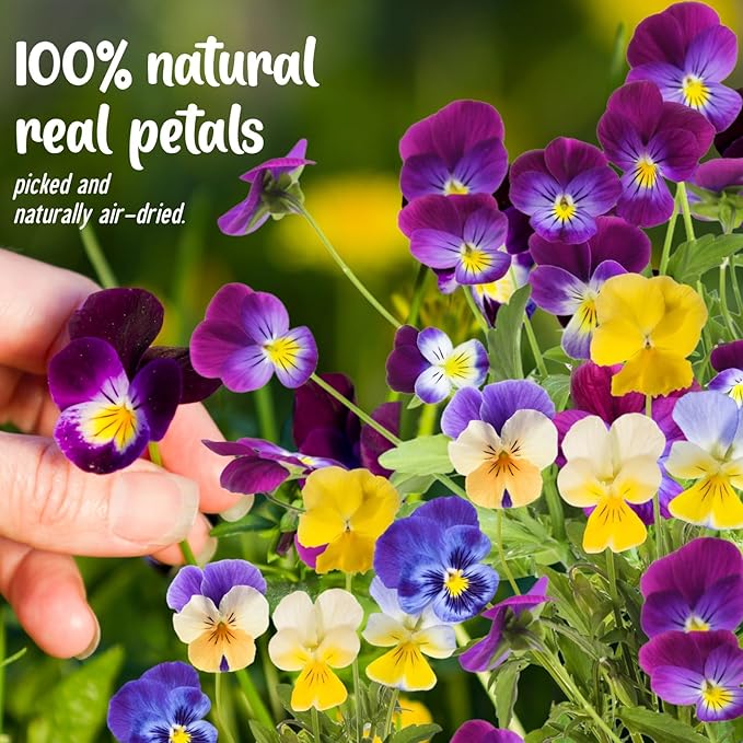 70 Pcs 8 Kinds Natural Dried Pressed Edible Flowers - Image 2