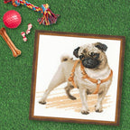 RIOLIS - Pug Dog 1176, Dogs Cross Stitch Kits 9, Counted Cross Stitch Kits - Image 4