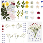 95PCS Dried Pressed Flowers for Crafts - Image 5