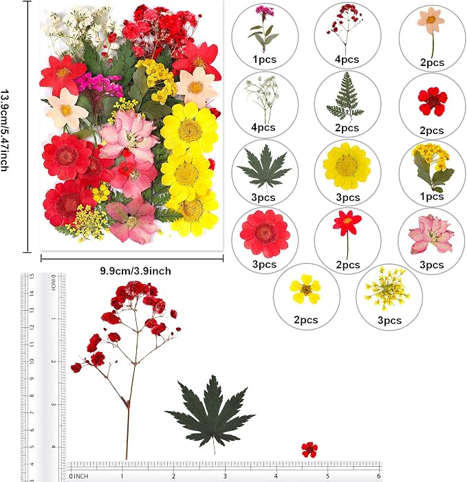 Augshy Dried Pressed Flowers, Natural Resin Flowers, Real Mixed Color Pressed - Image 2