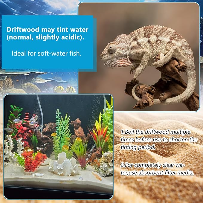 10 Pcs Natural Small Driftwood for Aquarium, Aquarium Driftwood Freshwater 2-4 - Image 4