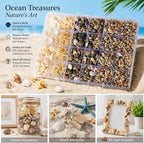 1300Pcs Tiny Sea Shells Mini Small Clam Cowrie Starfish - Image 3