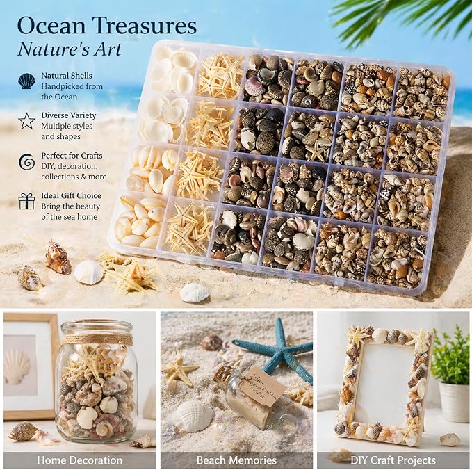1300Pcs Tiny Sea Shells Mini Small Clam Cowrie Starfish - Image 3