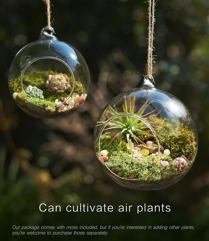 LUCKYRUNES DIY Terrarium Kit - Image 6