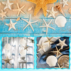 HAPYSHOOP 32 Pieces Starfish and Scallop Shells - Image 5