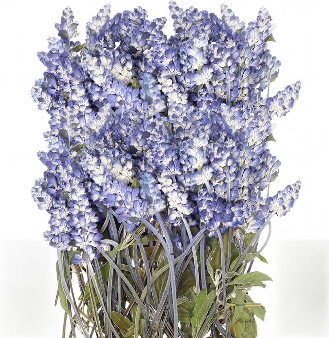 Wavwavw 50 Pcs Pressed Dried Lavender Flowers Stems Natural Preserved Real by Wavwavw