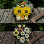 A4 Large Dried Pressed Flowers for Resin - Image 4