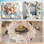 Silver White Sea Shell Mixed Ocean Shells Set, 1.2"-2.6" Various Sizes Natural - Image 7