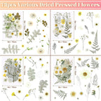 EBOOT 72 Pcs Dried Pressed Flowers - Image 2