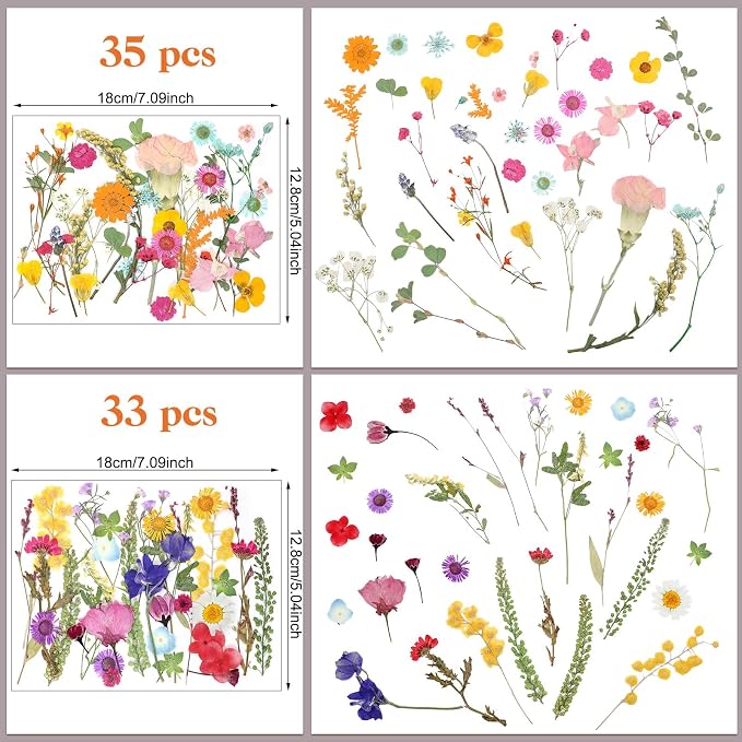Nuanchu Small Dried Flower for Craft Resin Mini Pressed Flowers Bulk Real Tiny - Image 3