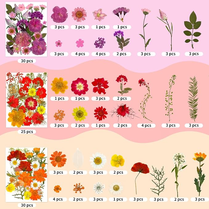 207 Pcs Dried Pressed Flowers for Crafts, Dried Pressed Flowers for Resin - Image 3